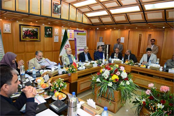 Amir Rashidimoghaddam 4