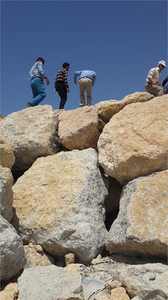 بازدید مدیرعامل شرکت ملی صنایع پتروشیمی از  طرح های فاز 2 عسلویه 8