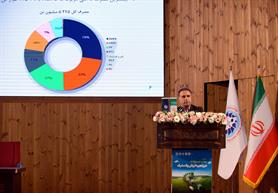 NPC Official Calls for Stable Feedstock Supply to Boost Downstream Petchem Output