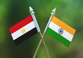 برنامه مصر و هند برای تقویت همکاری‌ها در صنعت پتروشیمی