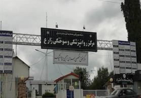 Iran Energy-Saving Campaign Targets Sari Burn Hospital