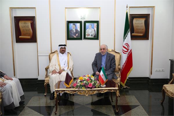 استقبال مهندس شعری مقدم از وزرای انرژی عراق، قطر و بولیوی 14