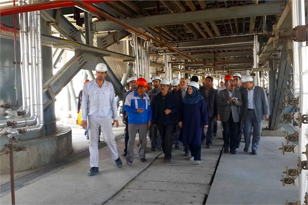 بازدید معاون مدیرعامل شرکت ملی صنایع پتروشیمی از پتروشیمی هگمتانه 10