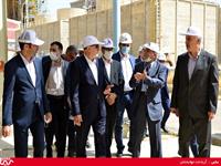 بازدید معاون وزیر نفت و مدیر عامل شرکت ملی صنایع پتروشیمی از پتروشیمی شیراز