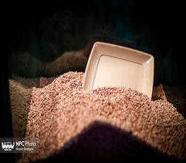 سالن 44 در چهارمین روز از پانزدهمین نمایشگاه بین المللی ایران پلاست 4