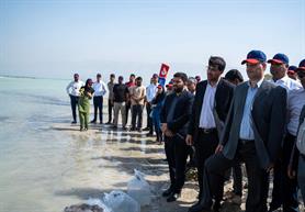 با حمایت آریاساسول؛ 130 هزار قطعه ماهی شانک زردباله در ساحل نایبند رها شد