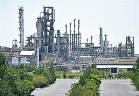 TPC Posts Steady Growth in November Sales