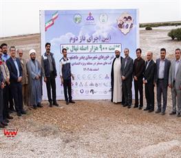 کاشت ۹۰۰ هزار اصله نهال حرا در خورهای شهرستان بندر ماهشهر 6