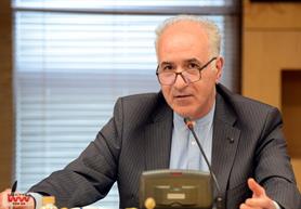 NPC Official: Petchem Diplomacy — Key to Diversifying Target Markets