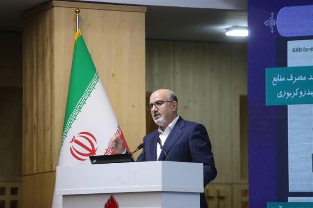 Access to Various Feedstock Key Advantage of Iran Petchem Industry