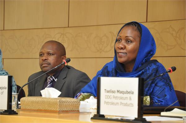 دیدار هیئت اعزامی کشور آفریقای جنوبی با مدیرعامل شرکت ملی صنایع پتروشیمی 8