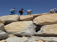 بازدید مدیرعامل شرکت ملی صنایع پتروشیمی از  طرح های فاز 2 عسلویه 8