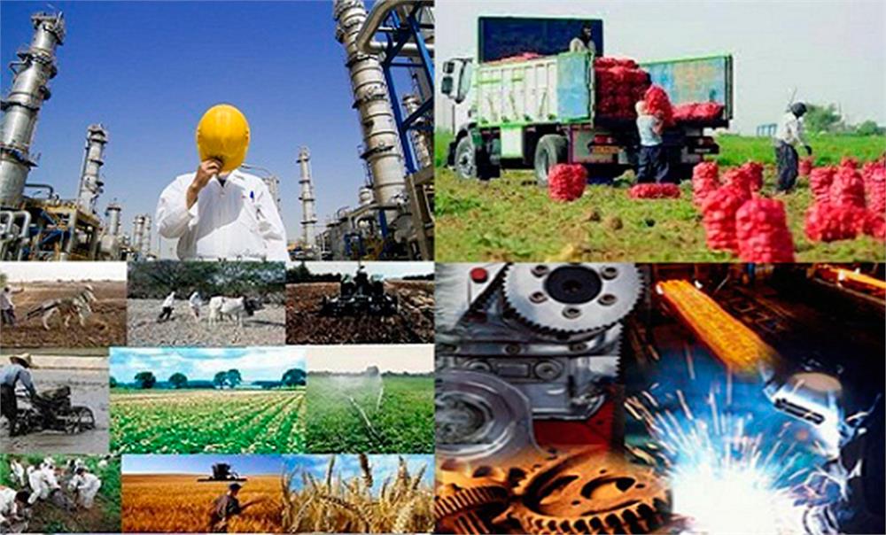 تحلیل وضعیت صنایع پائین دستی صنعت پتروشیمی