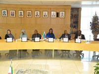 دیدار هیئت اعزامی کشور آفریقای جنوبی با مدیرعامل شرکت ملی صنایع پتروشیمی 5