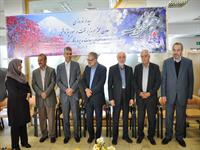 دیدار نوروزی مدیرعامل با کارکنان در سال 94 11