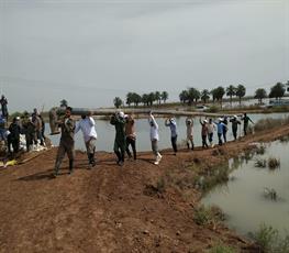 تداوم امداد رسانی بسیجیان صنعت پتروشیمی به سیل زدگان (تصاویر ارسالی روابط عمومی پازارگاد) 11