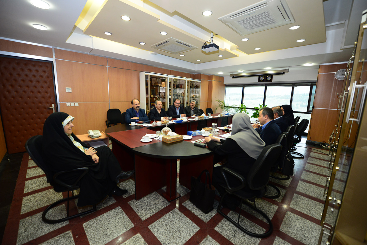 Amir Rashidimoghaddam 2