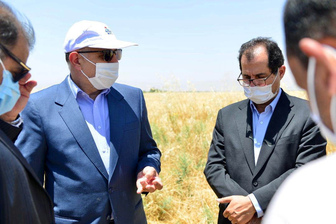 پتروشیمی در مسیر توسعه هوشمند / بازدید محمدی از محل های پیشنهادی احداث مخازن ذخیره سازی پروپیلن استان فارس 19