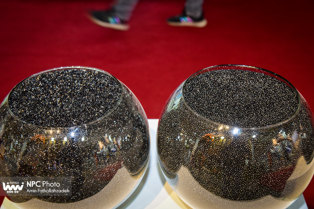 حاشیه های دومین روز از پانزدهمین نمایشگاه بین المللی ایران پلاست (1) 31