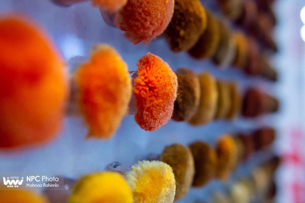 سالن 38 در چهارمین روز از پانزدهمین نمایشگاه بین المللی ایران پلاست 3