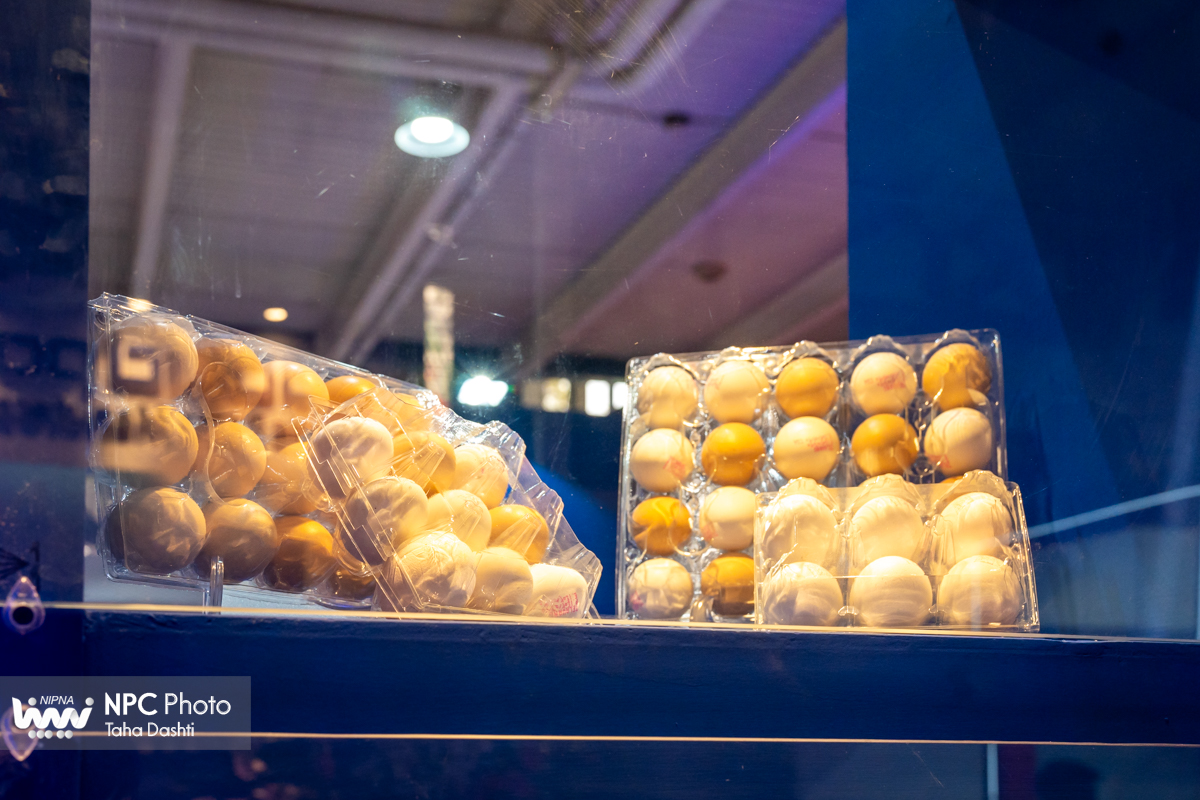 سالن خلیج فارس در اولین روز از هفدهمین نمایشگاه بین المللی ایران پلاست 19