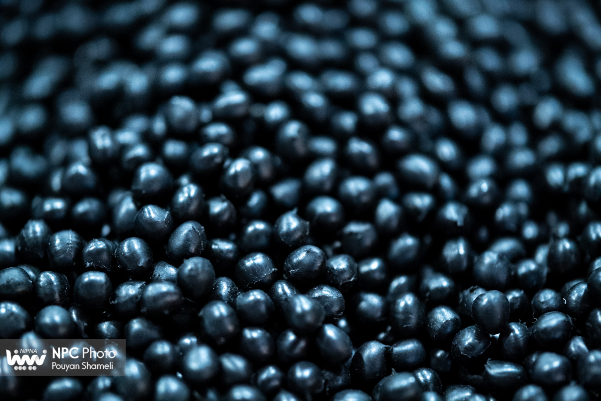 گرانول در هفدهمین نمایشگاه ایران پلاست 33