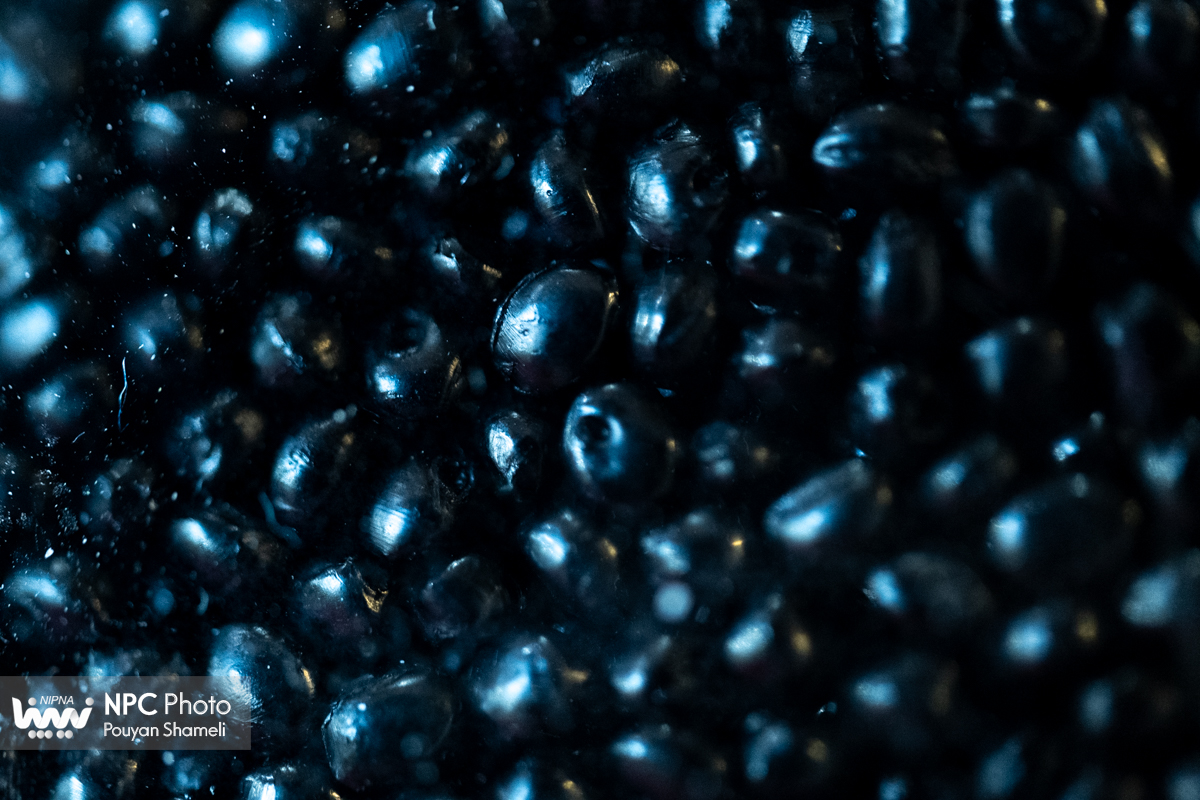 گرانول در هفدهمین نمایشگاه ایران پلاست 36