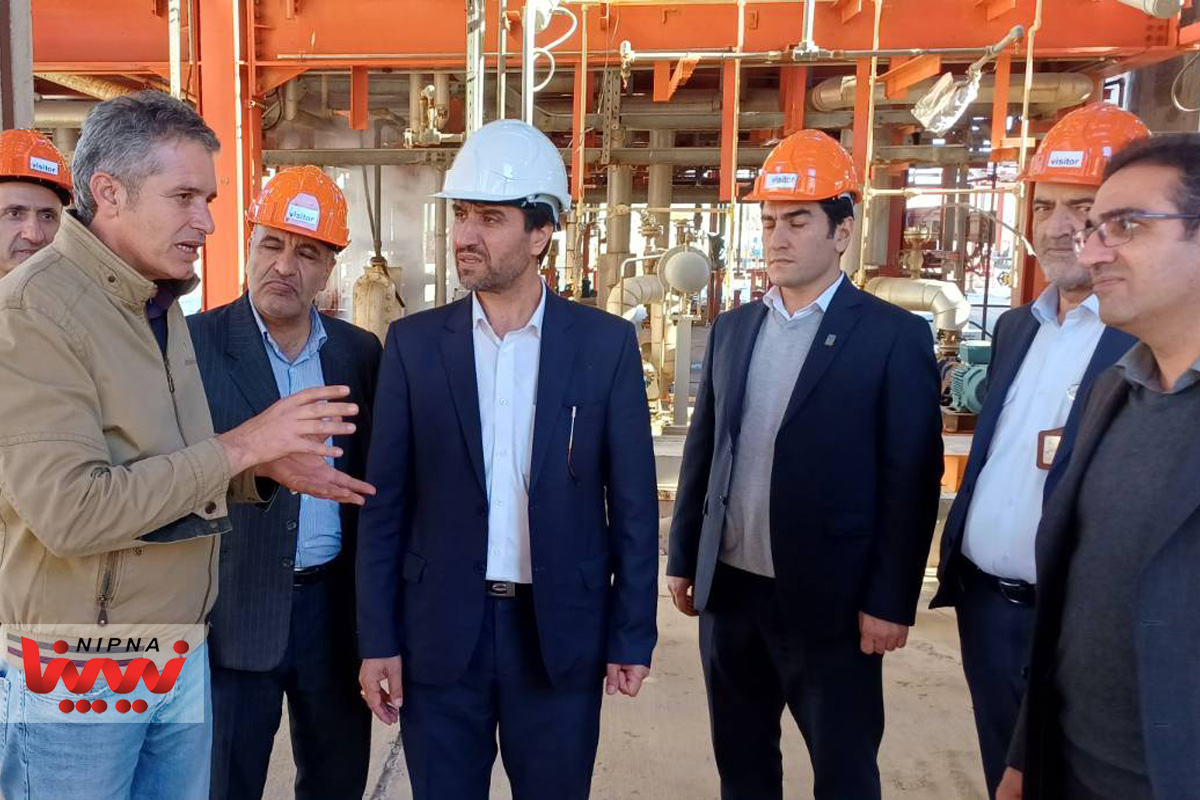 مرتضی شاه میرزایی