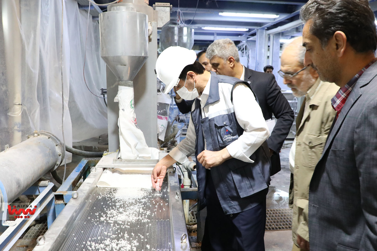 بازدید معاون وزیر نفت و مدیرعامل شرکت ملی صنایع پتروشیمی از هاب پتروشیمی ماهشهر 9