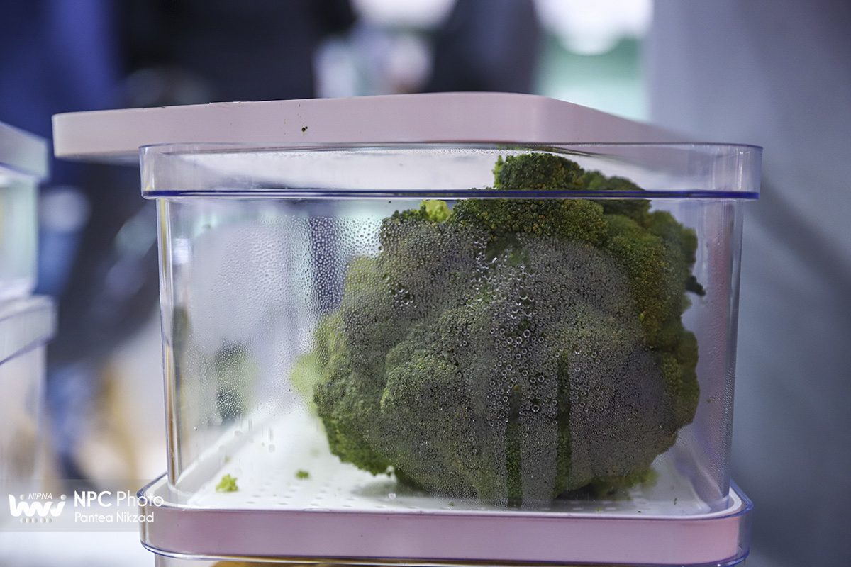 سالن 41 در سومین روز از هجدهمین نمایشگاه بین المللی ایران پلاست 22