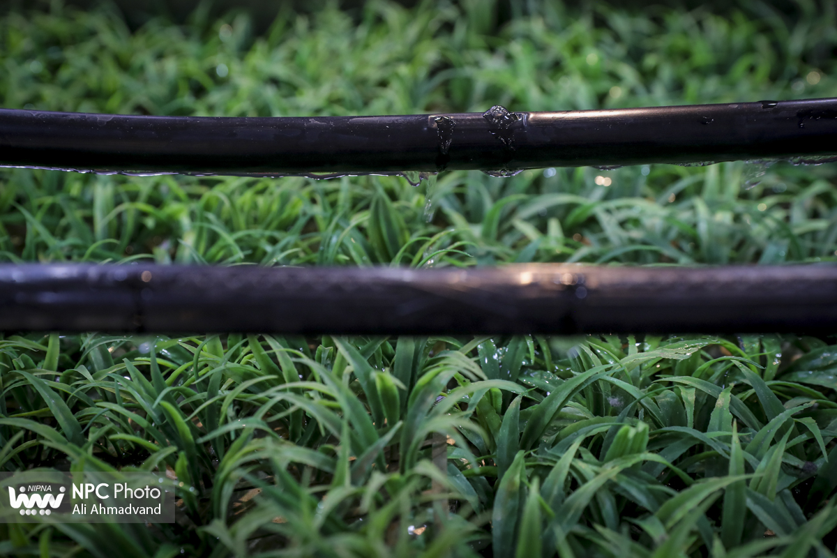 سالن 38B در آخرین روز از هجدهمین نمایشگاه بین المللی ایران پلاست 10