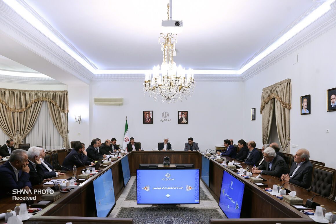 نشست معاون اول رئیس جمهور با مدیران شرکت های پتروشیمی 12