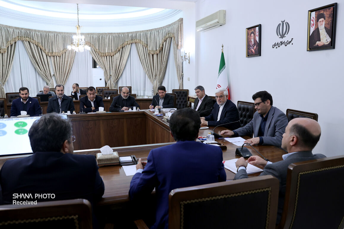 نشست معاون اول رئیس جمهور با مدیران شرکت های پتروشیمی 13