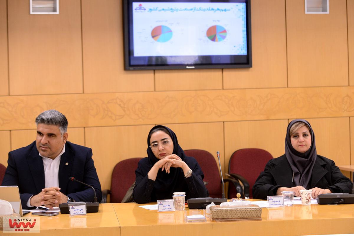 اولین اجلاس هم اندیشی مدیران HSE هلدینگ های صنعت پتروشیمی 11