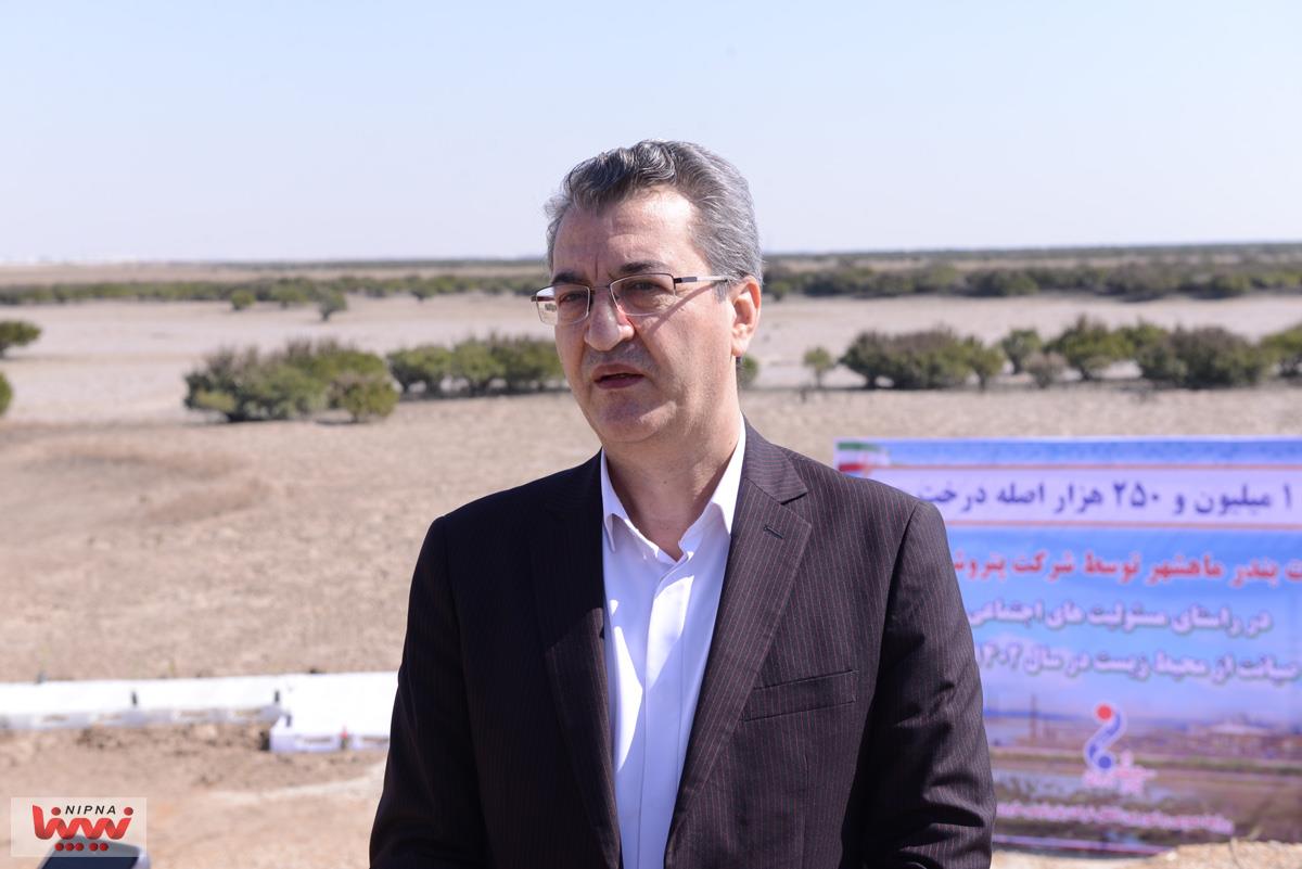 آیین اجرای فاز سوم کاشت 500 هزار اصله درخت حرا در خوریات شهرستان بندر ماهشهر توسط شرکت های مستقر در منطقه ویژه اقتصادی پتروشیمی 1