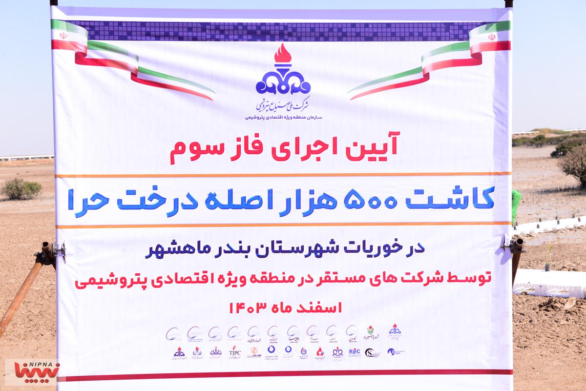 آیین اجرای فاز سوم کاشت 500 هزار اصله درخت حرا در خوریات شهرستان بندر ماهشهر توسط شرکت های مستقر در منطقه ویژه اقتصادی پتروشیمی 36