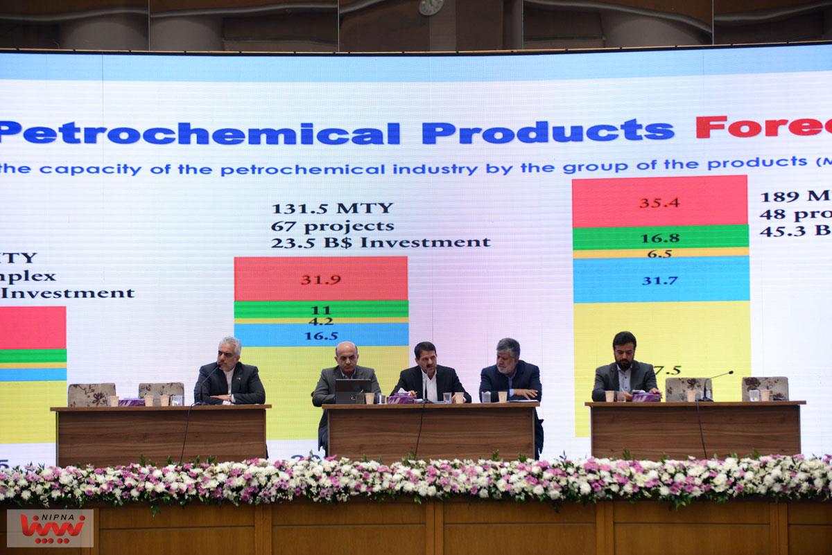 پنل تخصصی صنعت پتروشیمی در سومین اجلاس همکاری های ایران و آفریقا 17