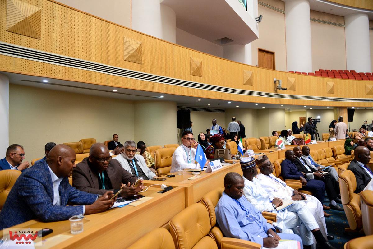 پنل تخصصی صنعت پتروشیمی در سومین اجلاس همکاری های ایران و آفریقا 30