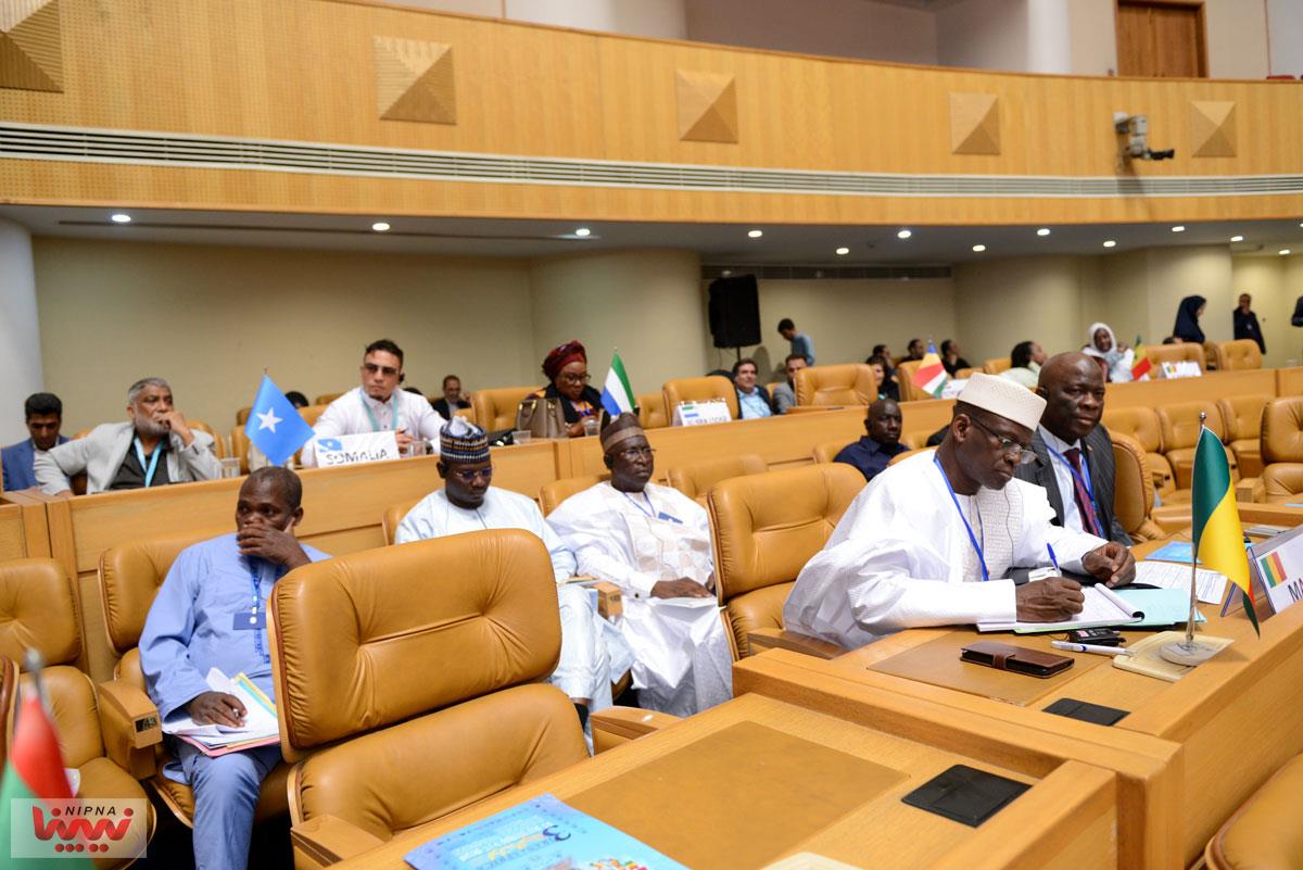 پنل تخصصی صنعت پتروشیمی در سومین اجلاس همکاری های ایران و آفریقا 31