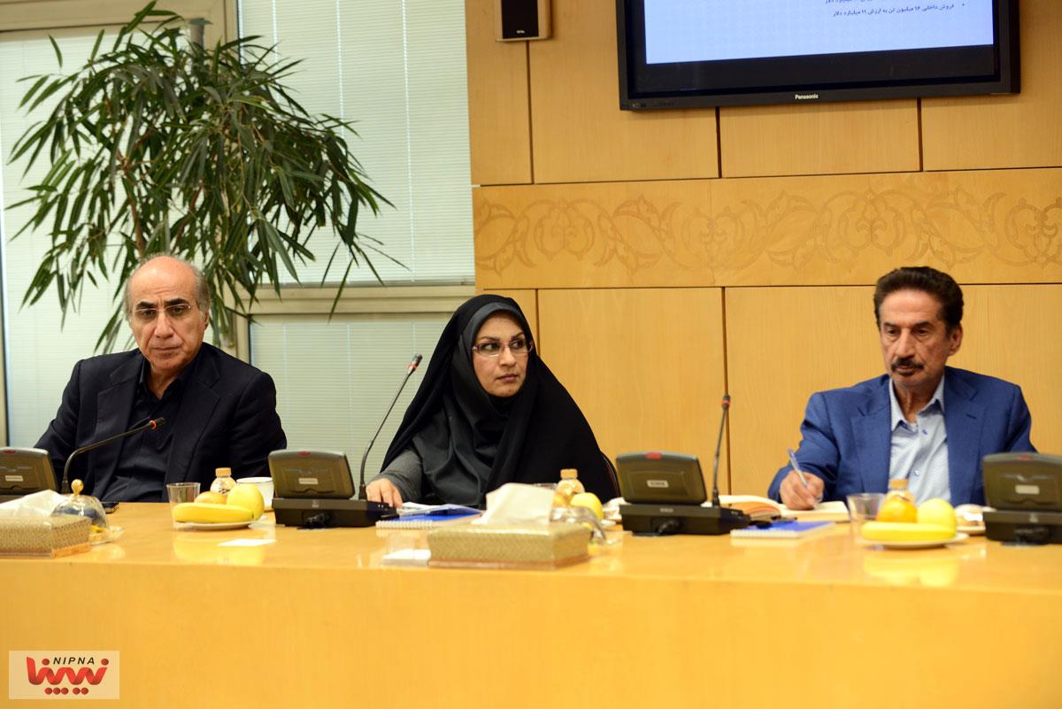 نشست مدیرعامل شرکت ملی صنایع پتروشیمی با مدیران عامل و نمایندگان هلدینگ های پتروشیمی 38