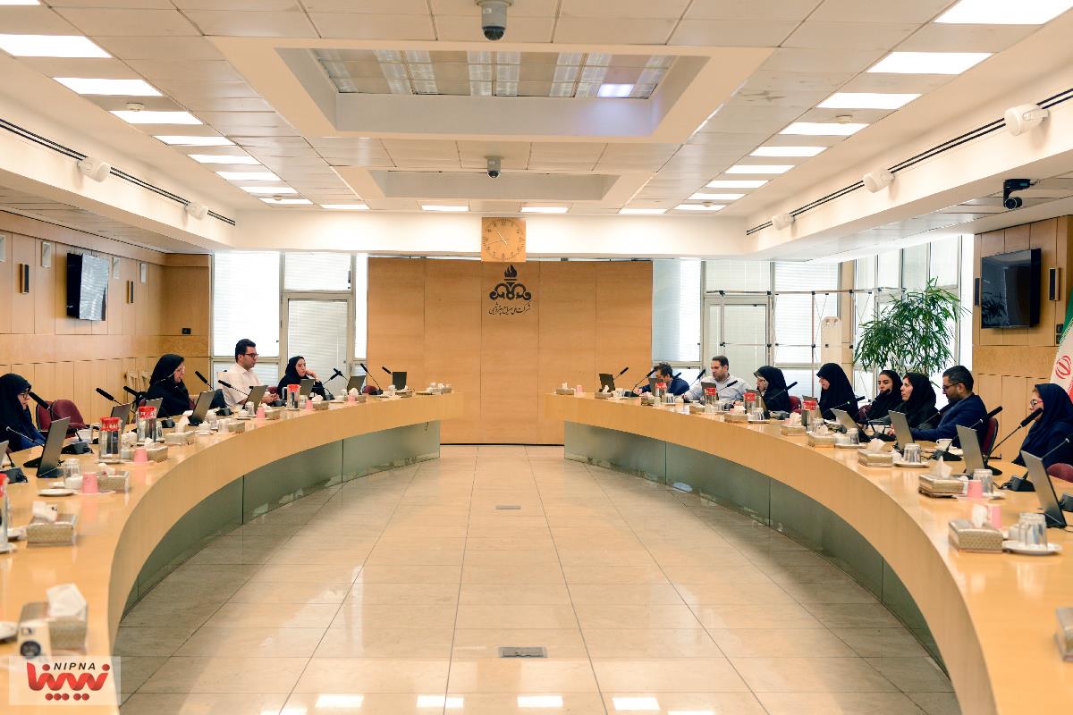 برگزاری دومین دوره کارگاه آموزشی ناظرین داده شرکت ملی صنایع پتروشیمی 4